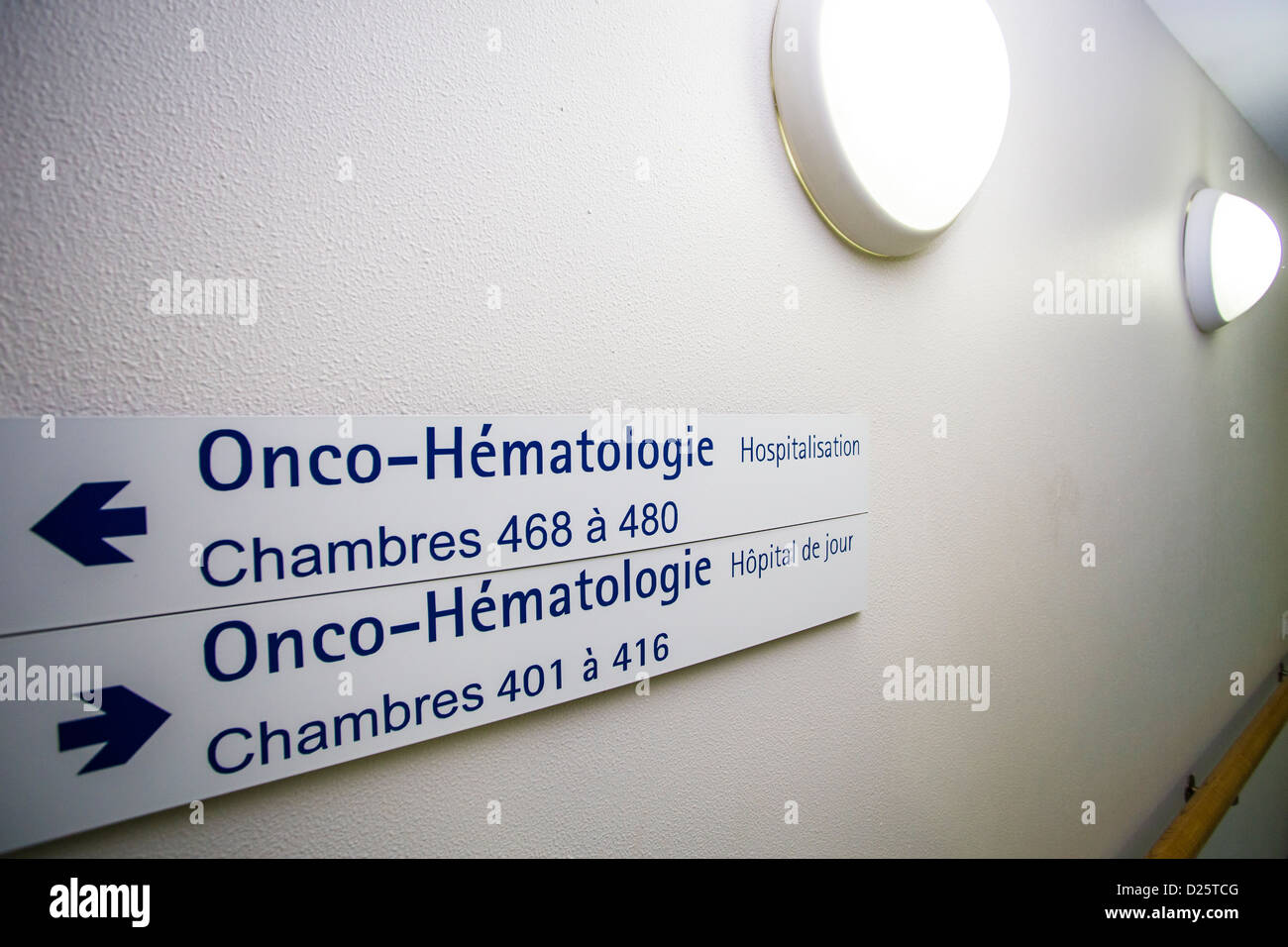 ONCO-HEMATOLOGY Stock Photo