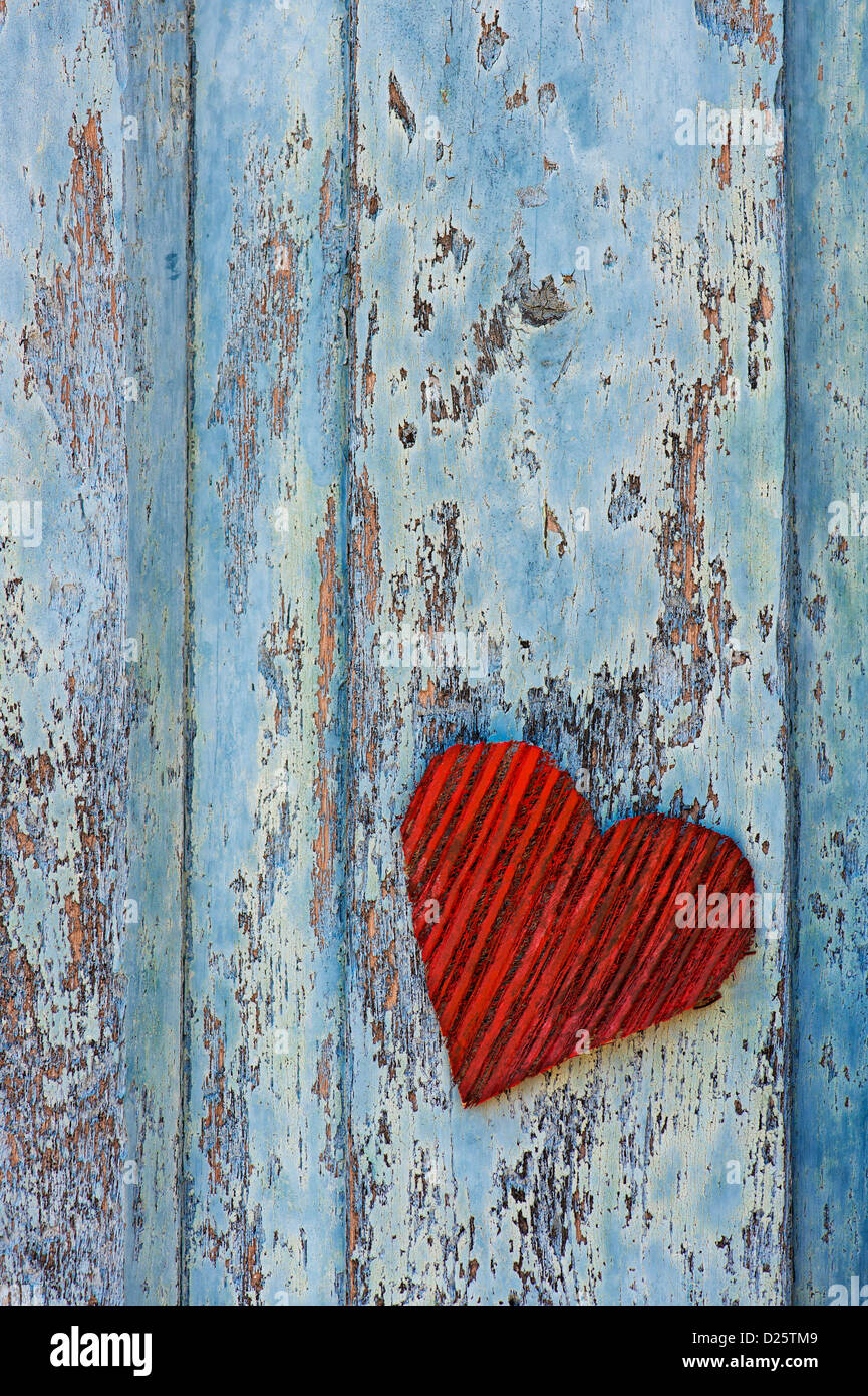Red coconut husk bark heart shape on an old tattered blue painted door ...