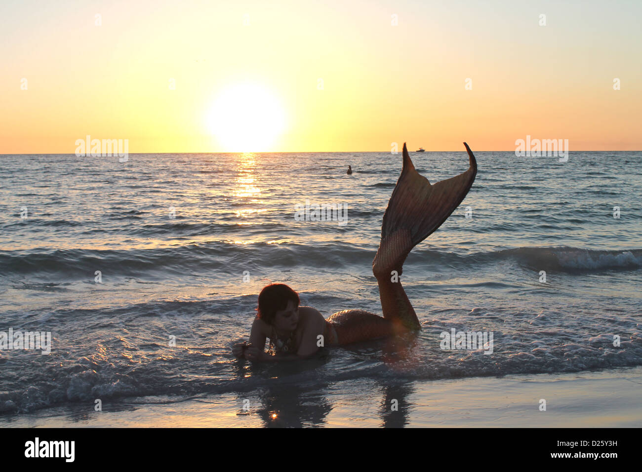 Mermaid At Sunset On Beach Stock Photo Alamy Mermaid At Sunset On Beach Stock Photo Alamy