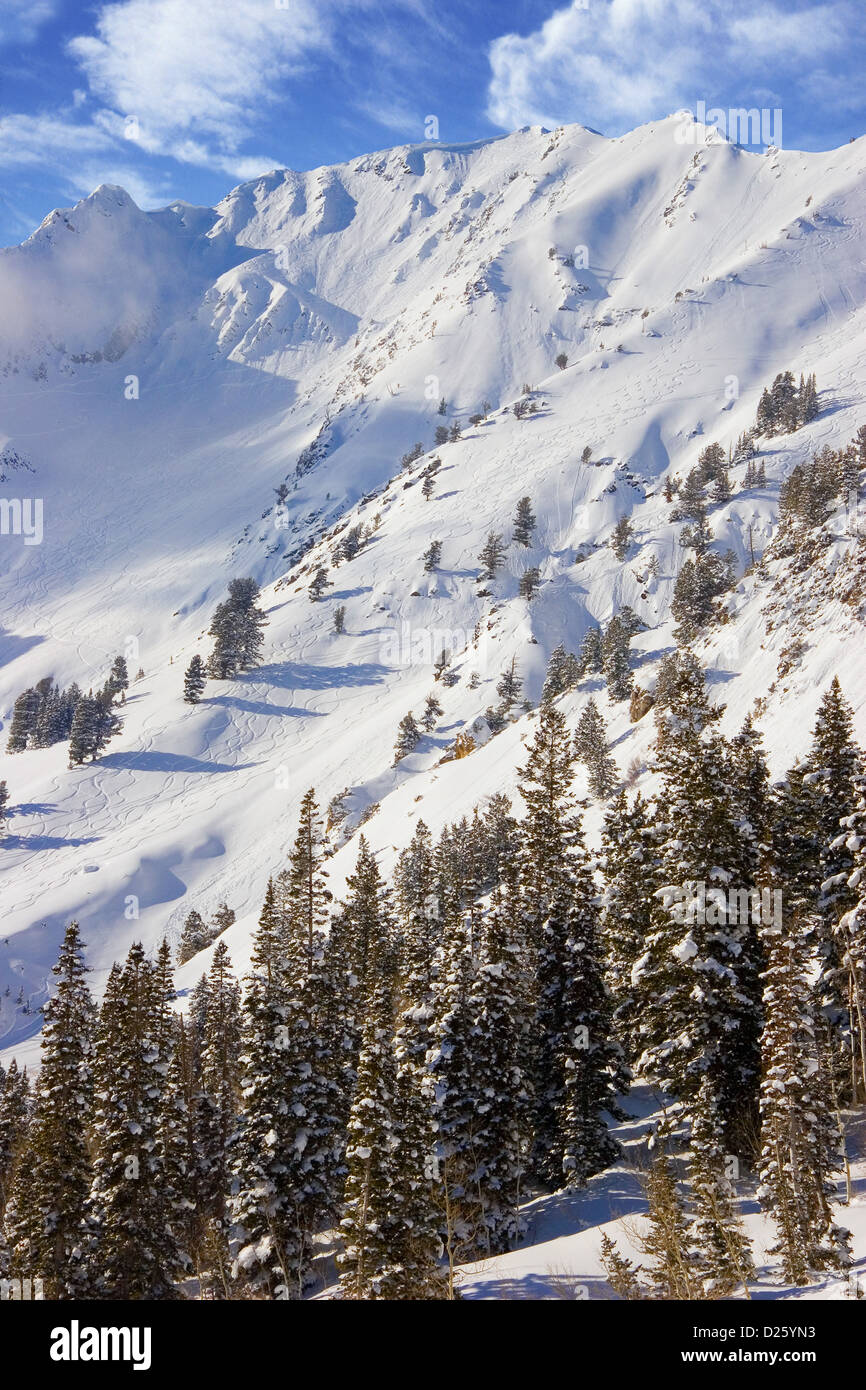 Snowy landscape winter scene hi-res stock photography and images - Alamy