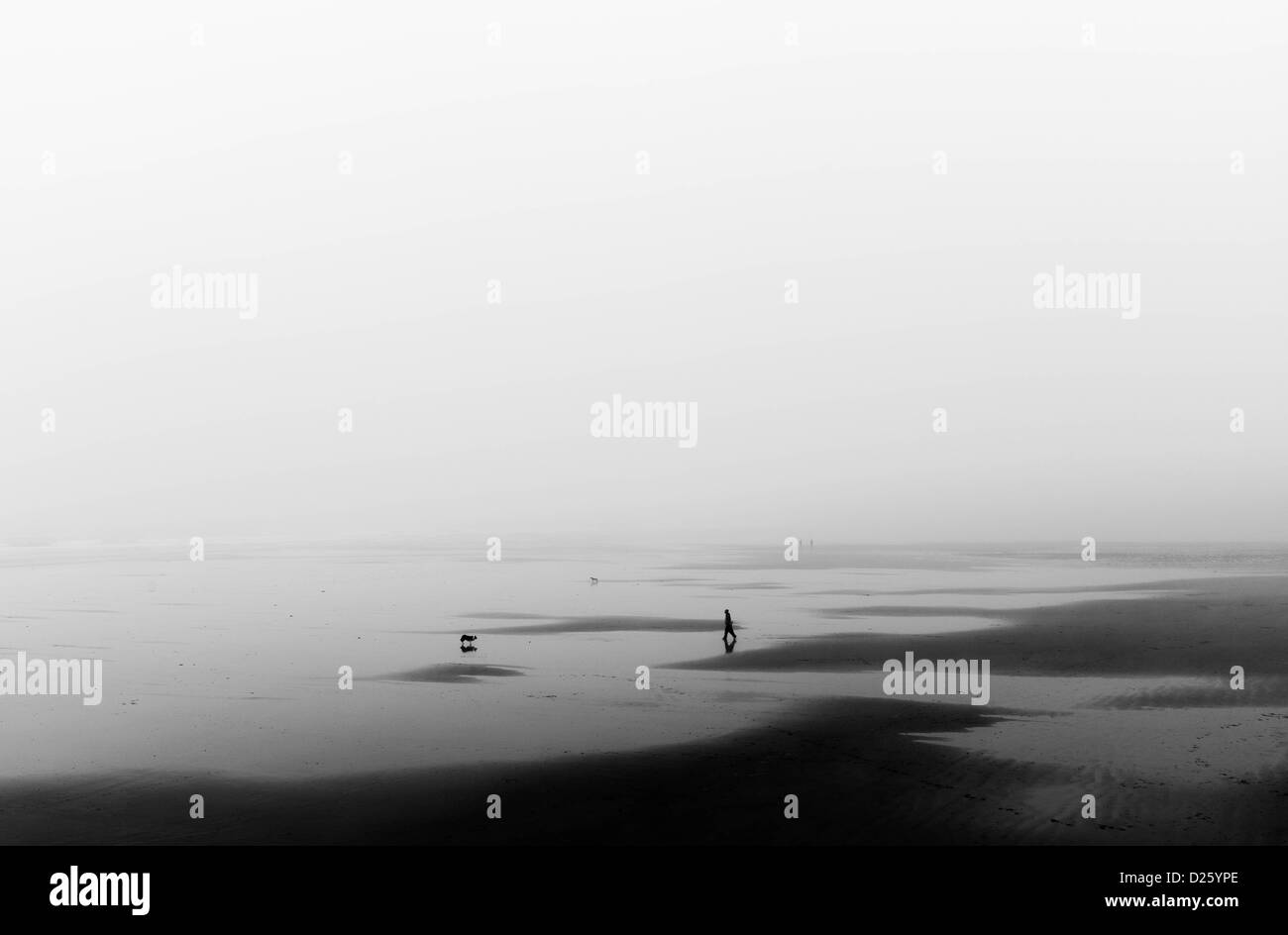 A man walks his dog on a mist covered Saltburn beach. Stock Photo