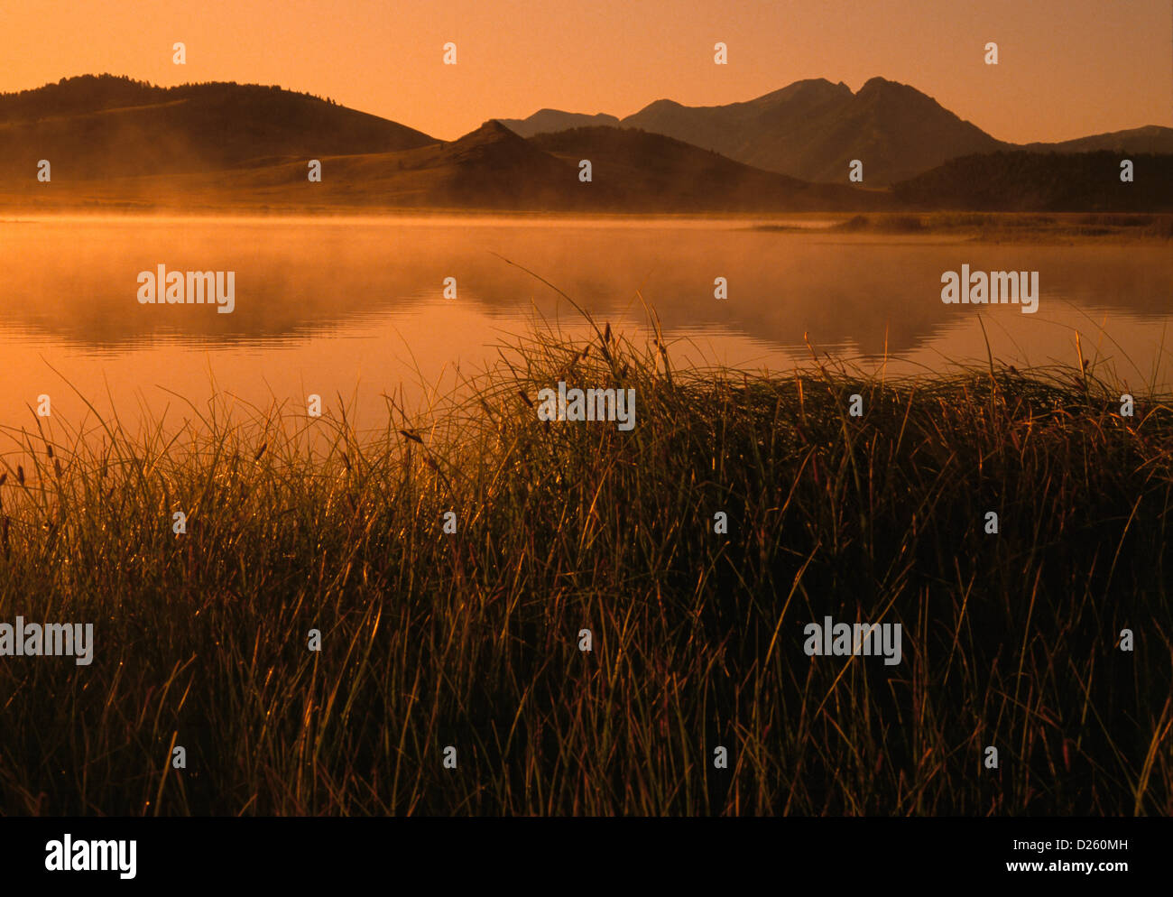 Morning Mist on a Lake Stock Photo - Alamy