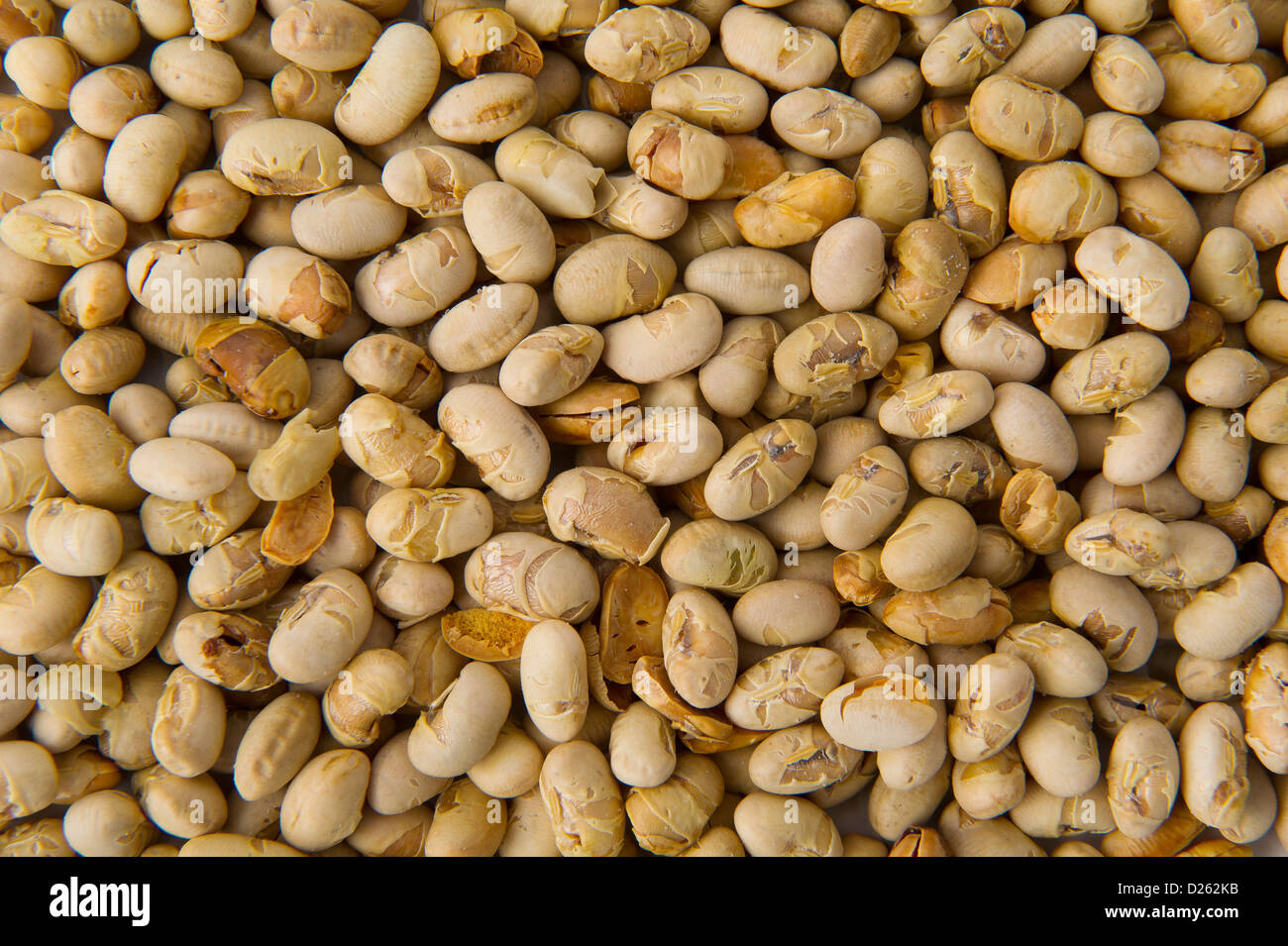 'soya nuts' Stock Photo