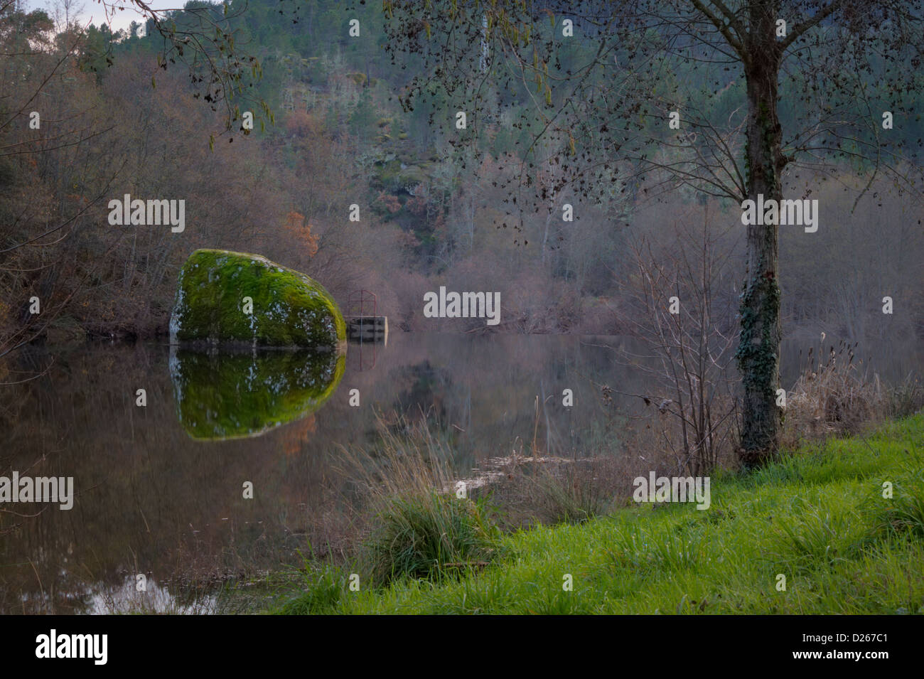 River and trees with the sky reflected on water Stock Photo - Alamy