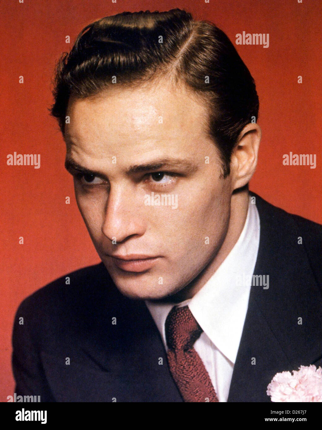 MARLON BRANDO ()1924-2004) US film actor about 1955 Stock Photo - Alamy