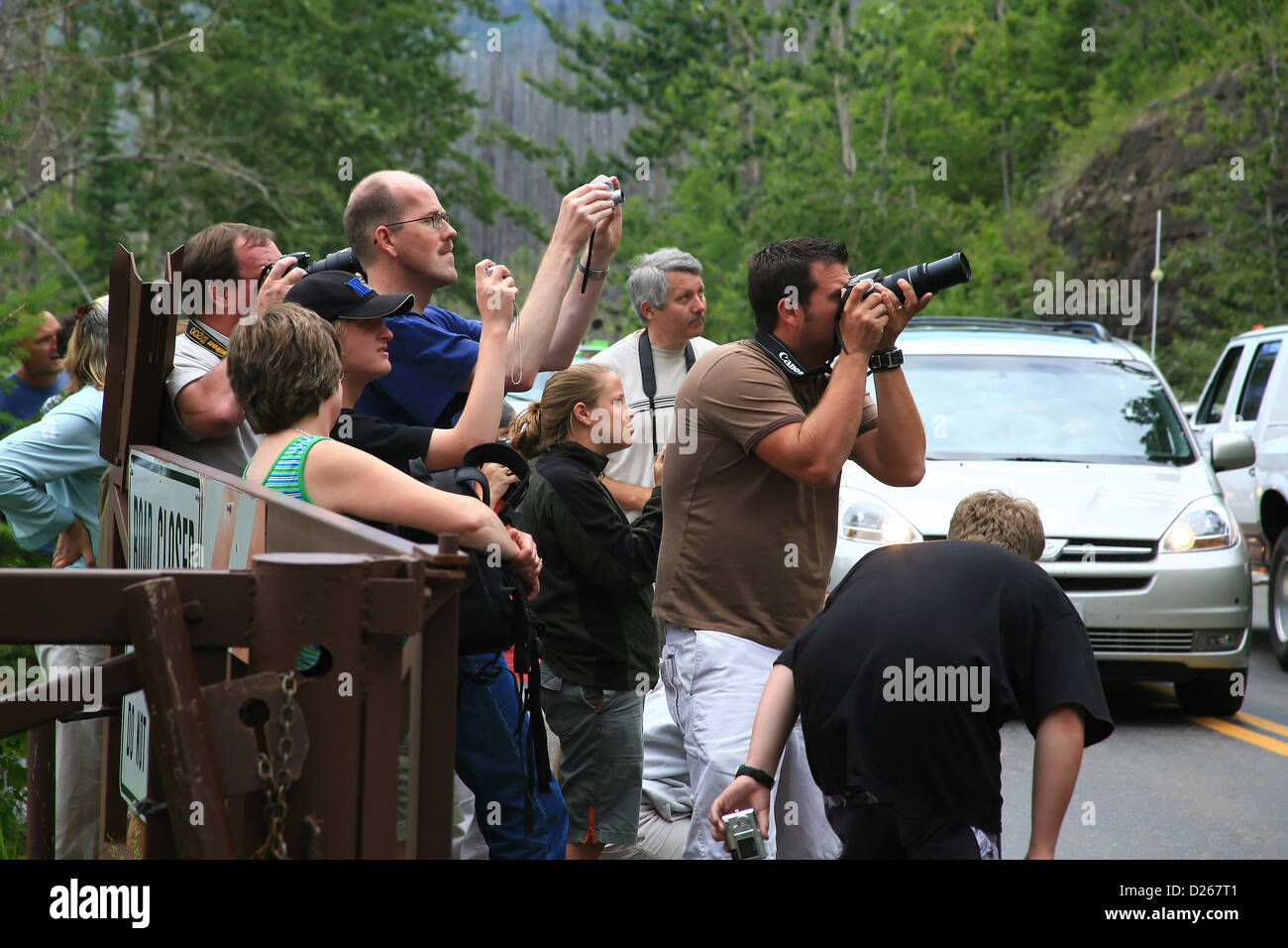 Tourists intently watching wildlife Stock Photo
