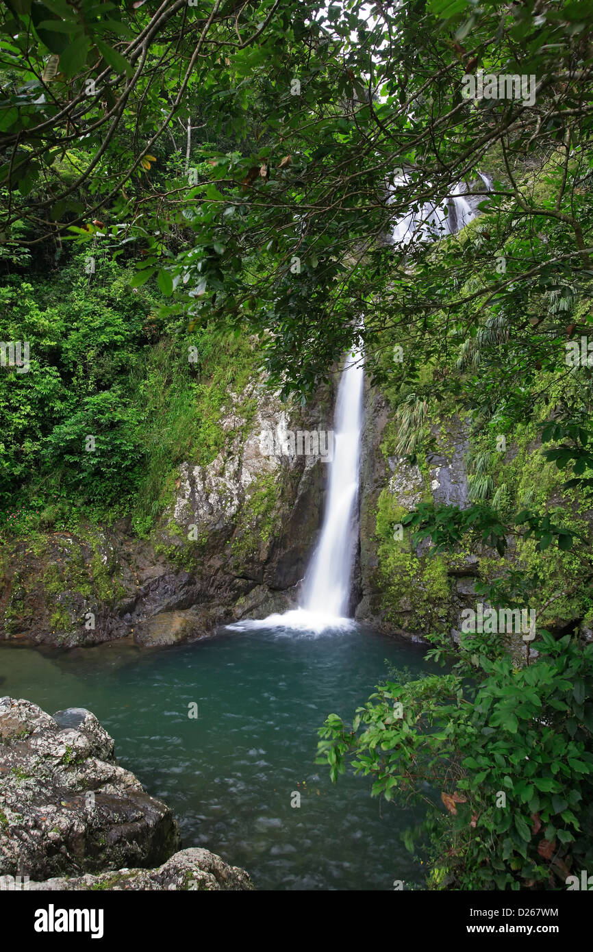 Salto de Dona Juana, (Dona Juana Falls), Toro Negro State Forest, Puerto Rico Stock Photo