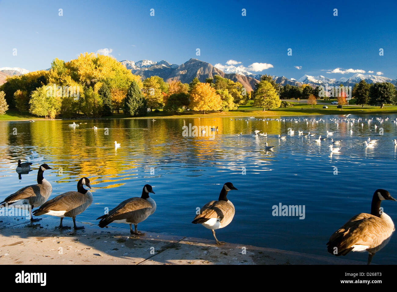 Sugarhouse Park, Salt Lake City UT Stock Photo - Alamy