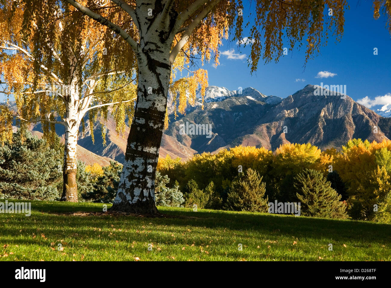 Sugarhouse Park, Salt Lake City UT Stock Photo Alamy