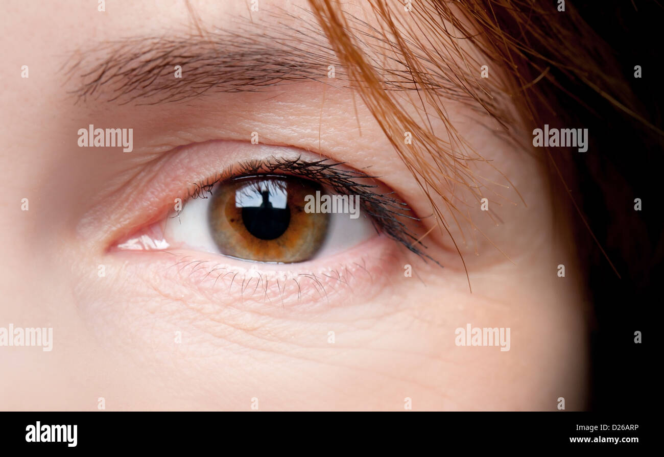 Macro shot of young woman brown eye Stock Photo