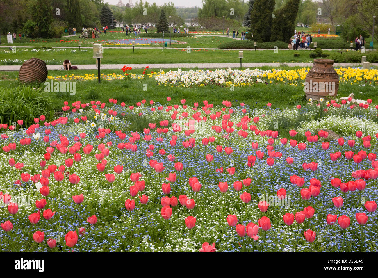 Romania, Bucharest, Herastrau Park, city park, flowers. Stock Photo