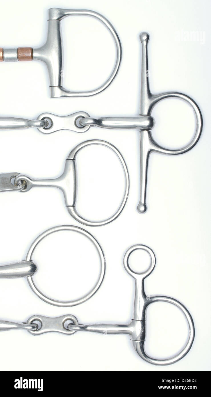 A variety of bit rings, top to bottom, d-ring, full cheek, eggbutt, loose ring and hanging cheek Stock Photo