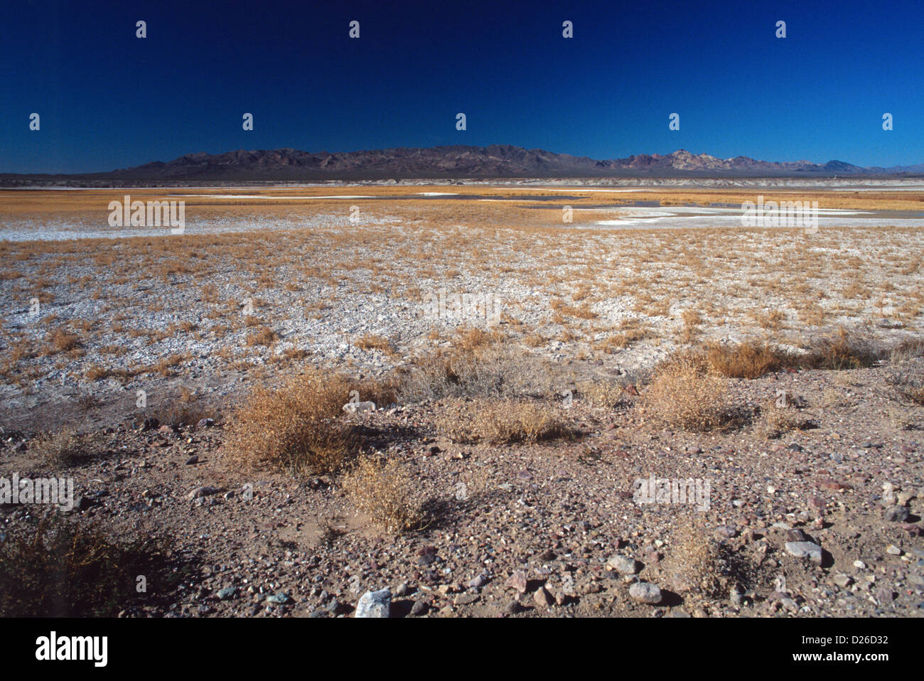 Death valley desert salt hi-res stock photography and images - Alamy