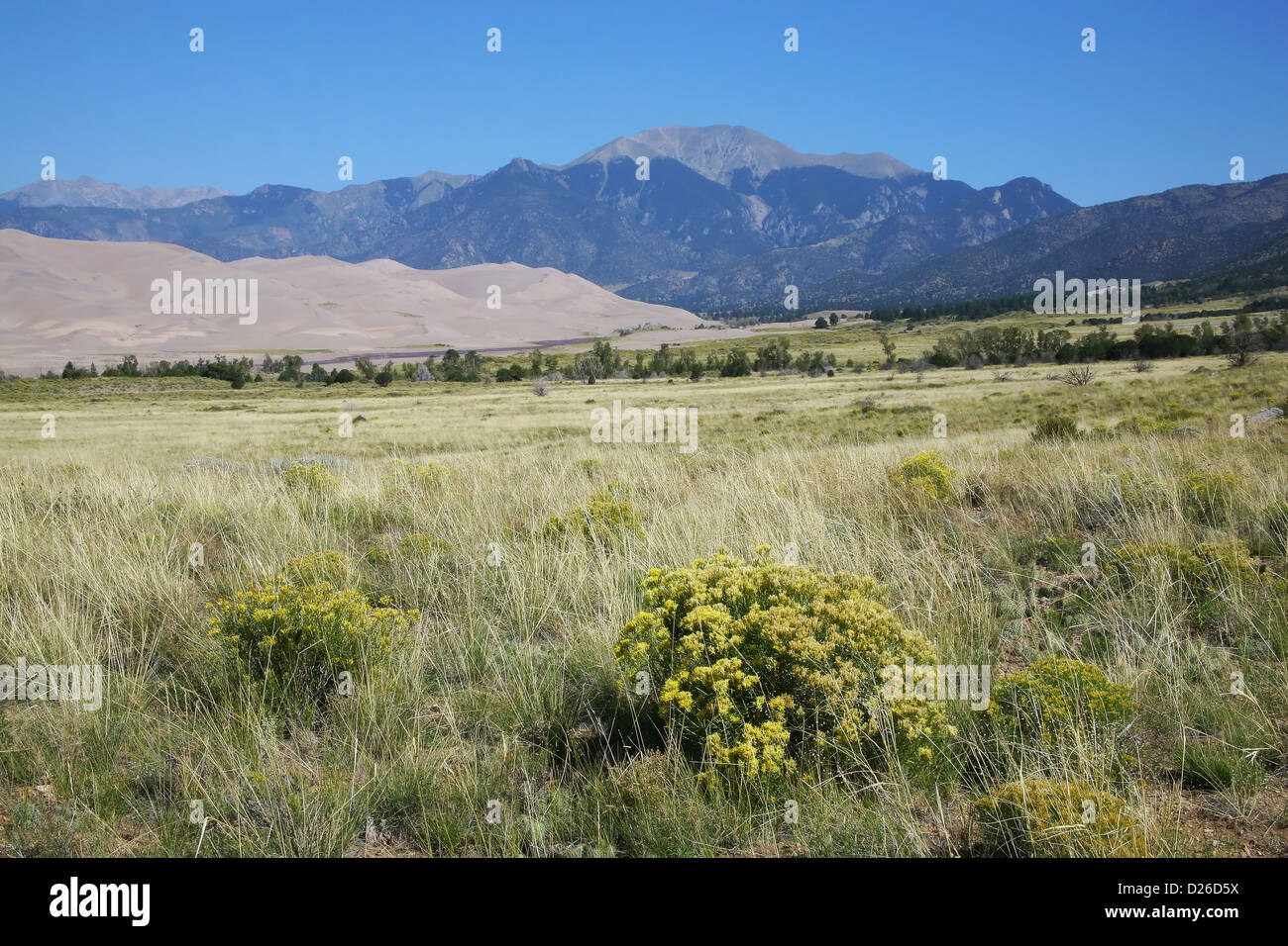 Great Sand Dunes National Park CO Stock Photo