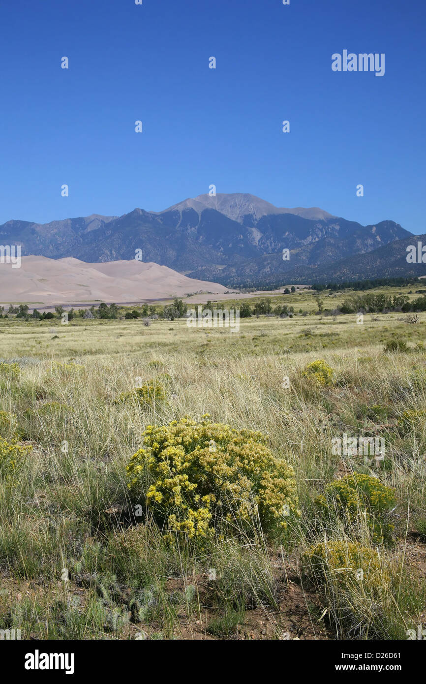 Great Sand Dunes National Park CO Stock Photo