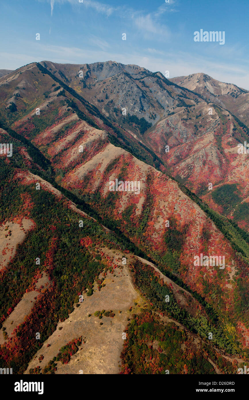 aerial photograph fall colors Wasatch Range, Utah Stock Photo