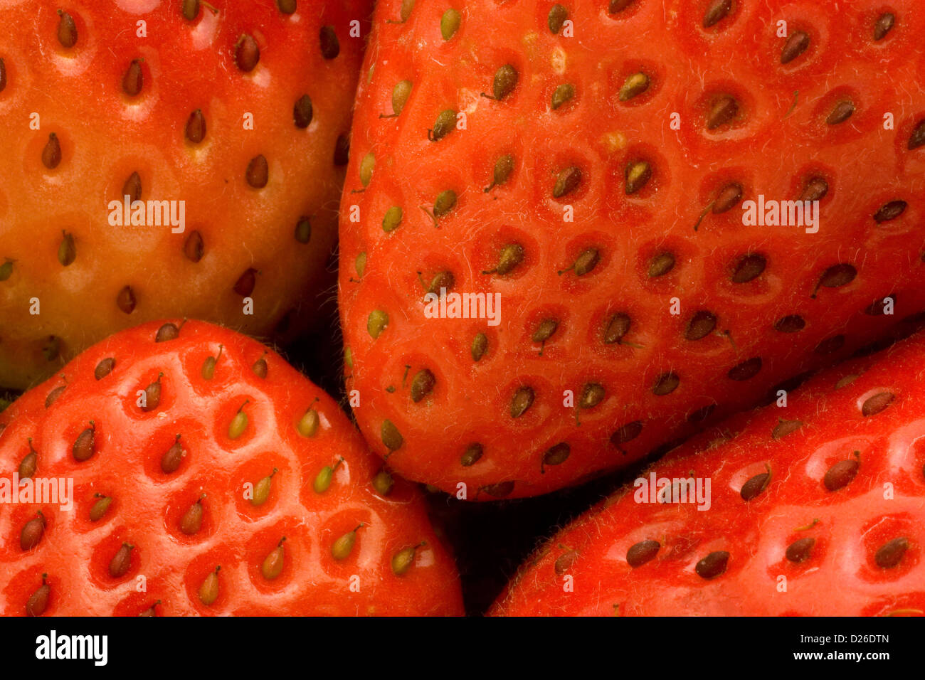 Quercetin hires stock photography and images Alamy