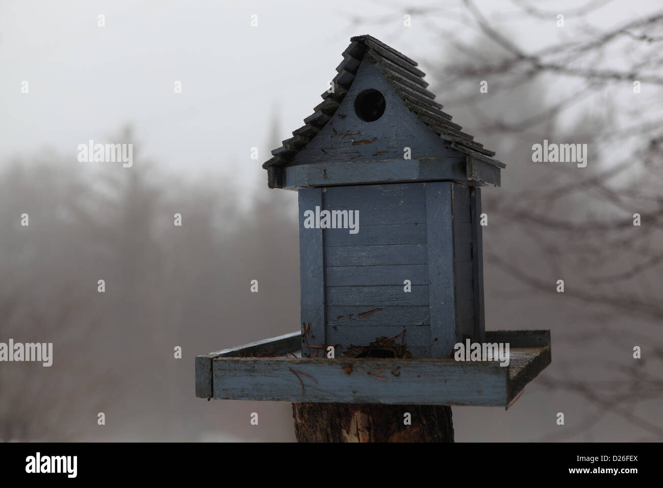 The Bird Feeder On A Foggy Winter Day In Ontario Canada Stock