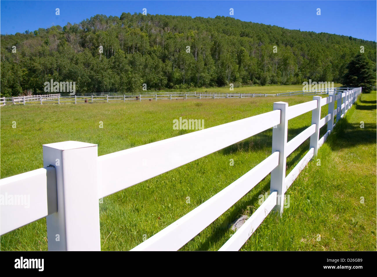 White Fence at a Horse Farm Stock Photo