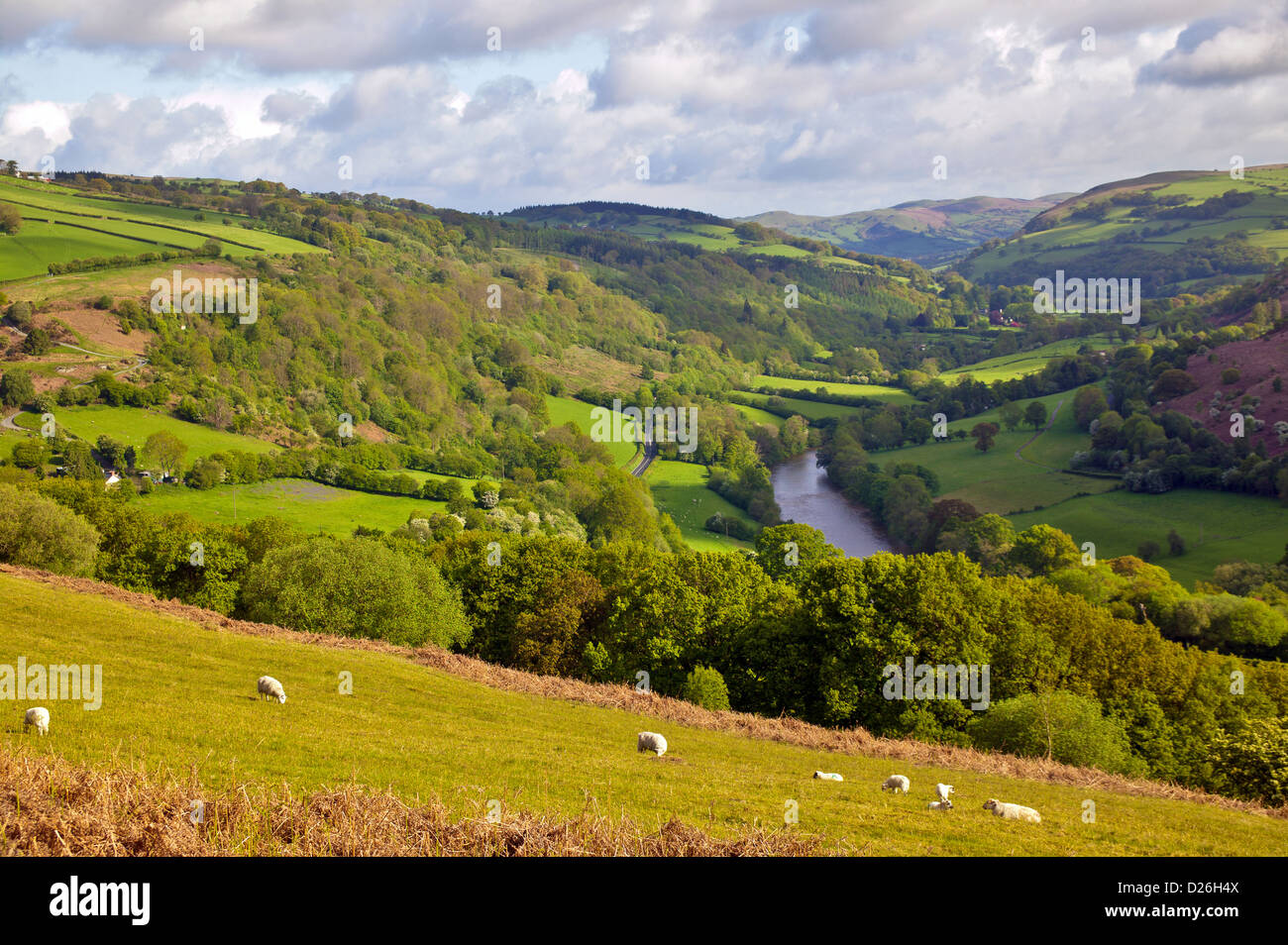 THE WYE VALLEY IN MAY LOOKING TOWARDS BUILTH WELLS POWYS WALES Stock Photo