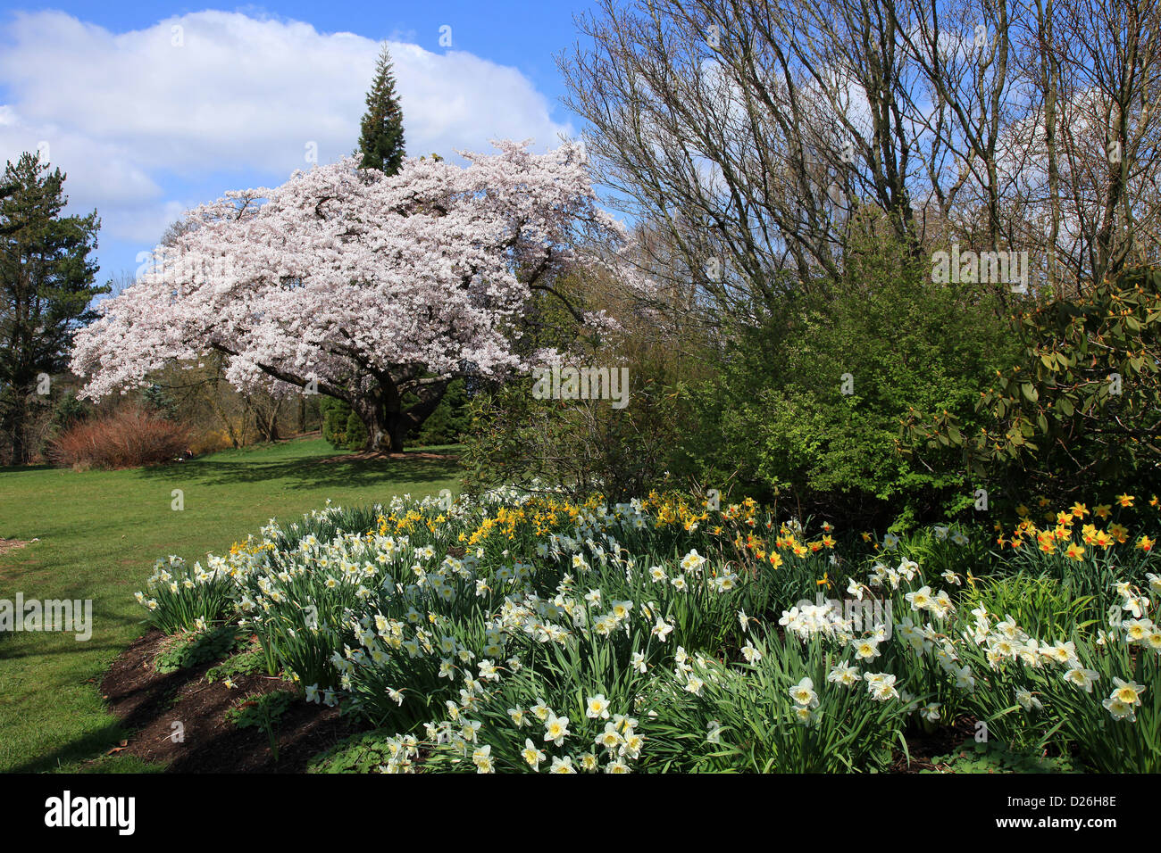 Queen Elizabeth Park Vancouver BC Stock Photo Alamy