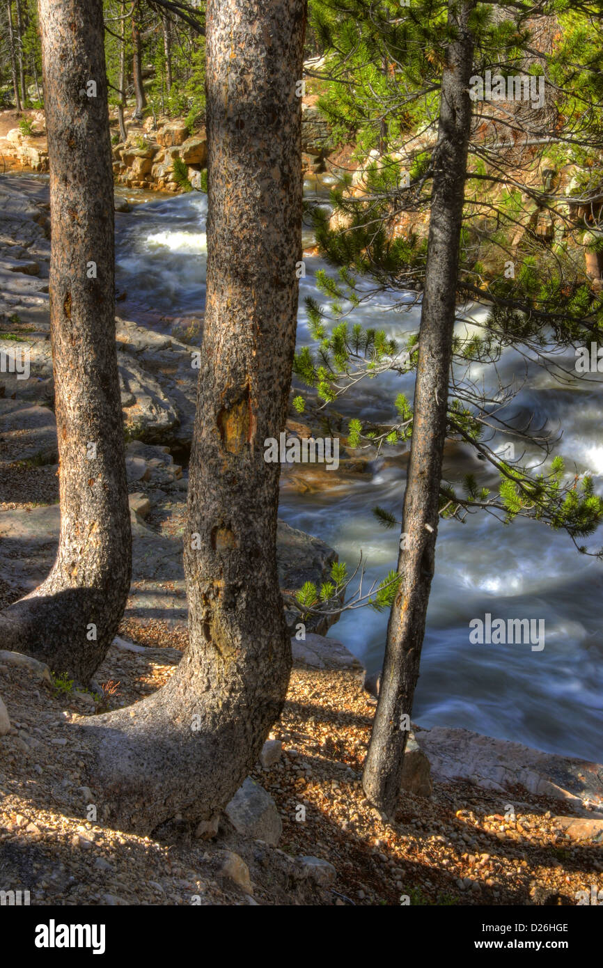 River in the Wilderness Stock Photo Alamy