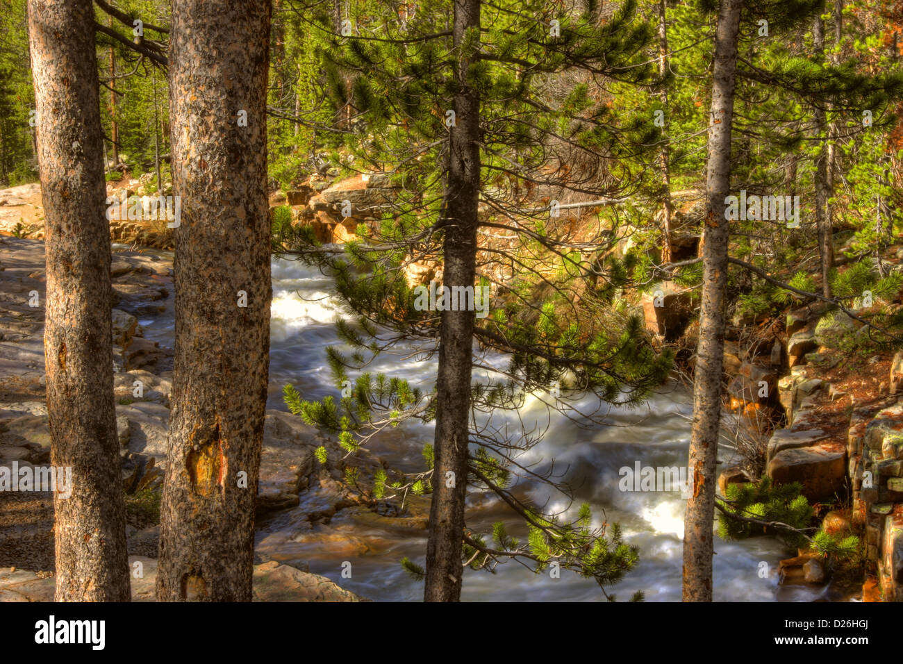 River in the Wilderness Stock Photo Alamy