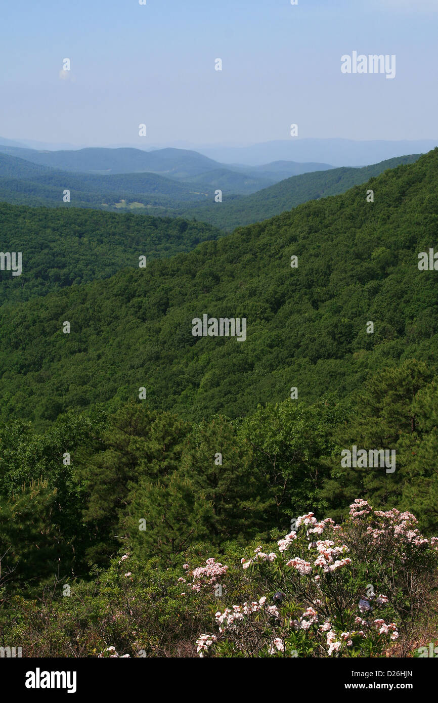 blue-ridge-mountains-of-virginia-stock-photo-alamy