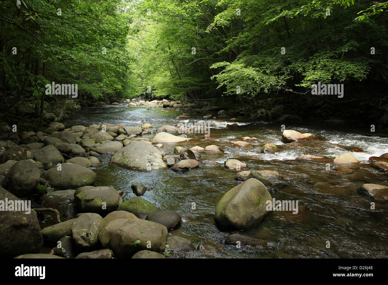 Little Pigeon River Smoky Mountains Stock Photo