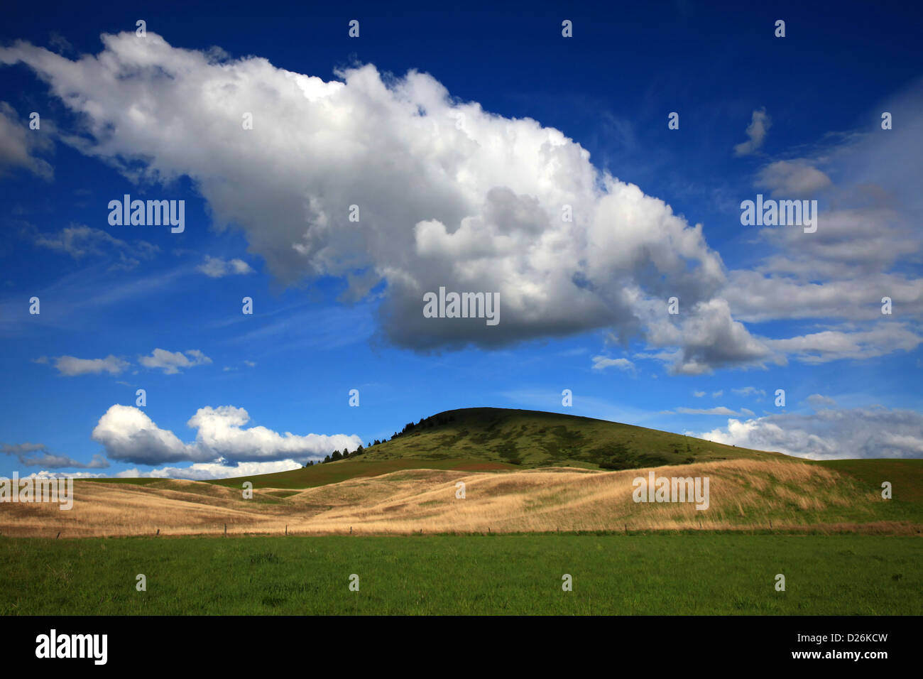 Eastern Washington rural scenic Stock Photo Alamy