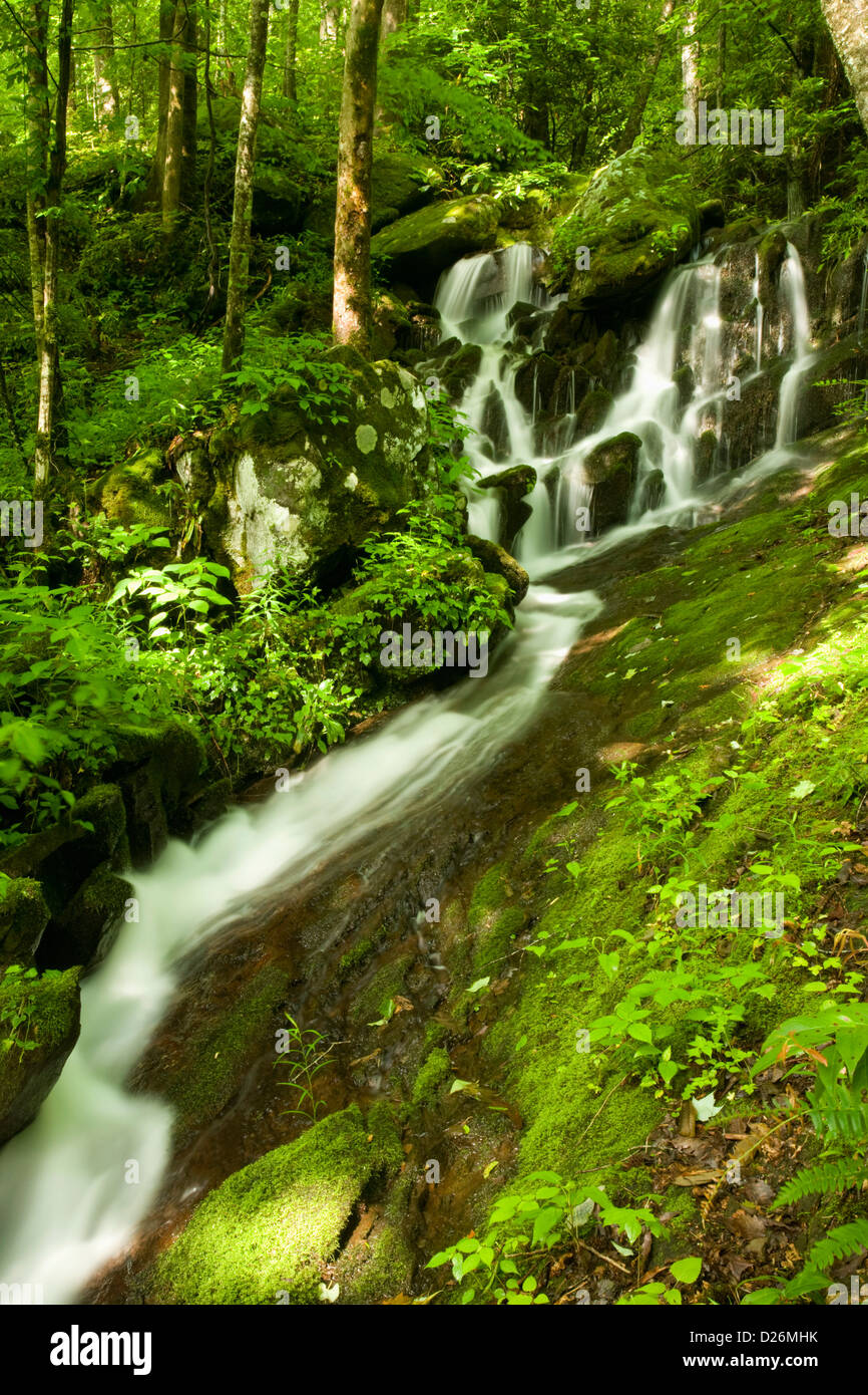 Waterfalls, Tremont, Smokies Stock Photo Alamy