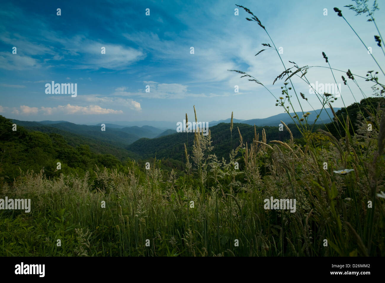 Great Smoky Mtns, Newfound Gap Stock Photo