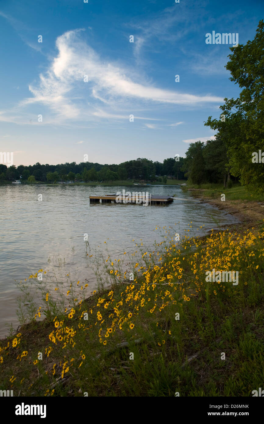 Boat Dock, Douglas Lake Stock Photo Alamy