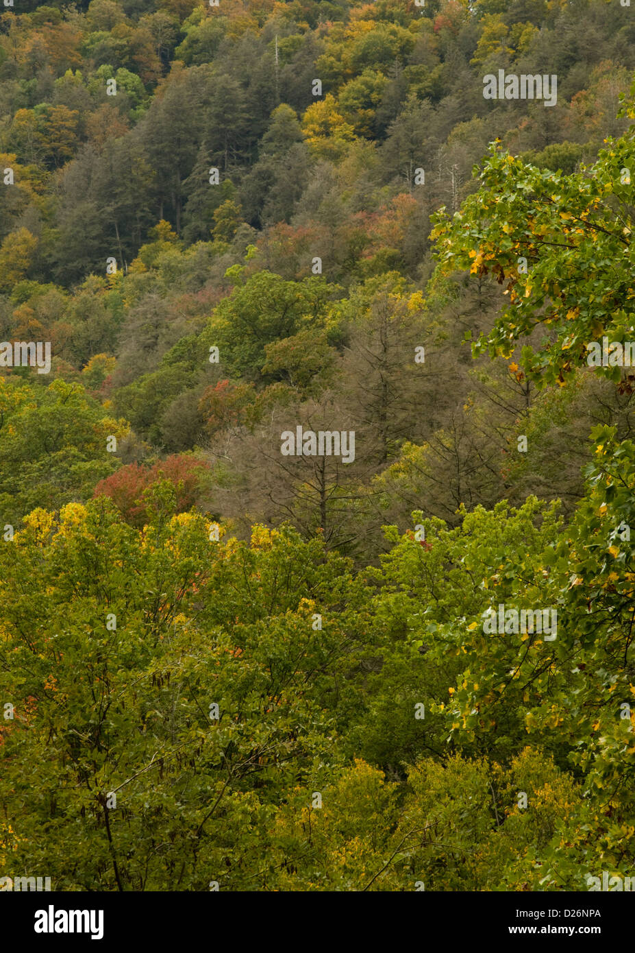 Autumn, Blue Ridge Parkway, NC Stock Photo Alamy