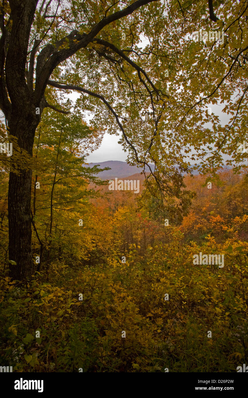 Autumn, Motor Nature Trail, Smokies Stock Photo - Alamy