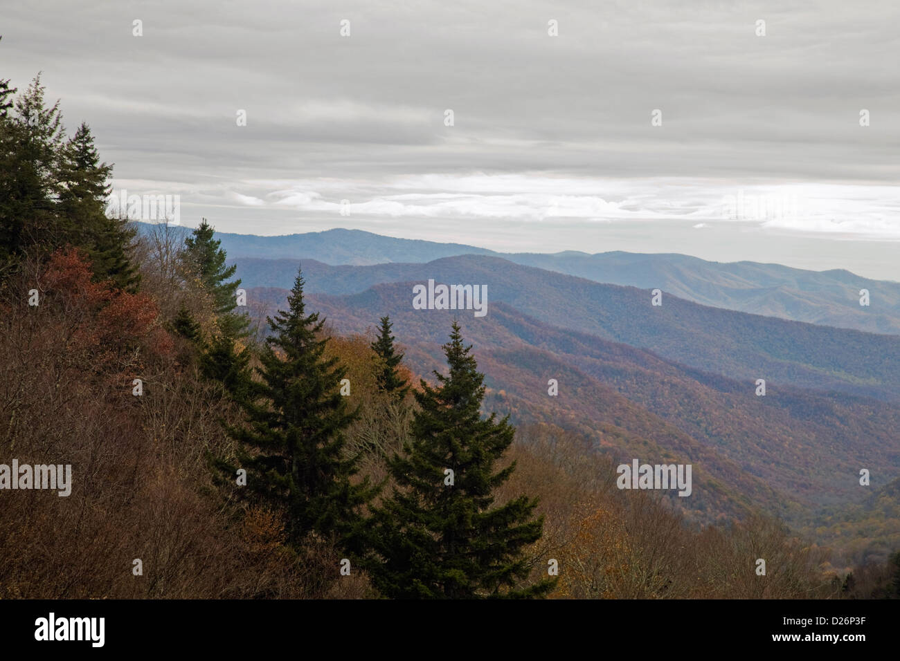 Autumn, Great Smoky Mtns NP Stock Photo