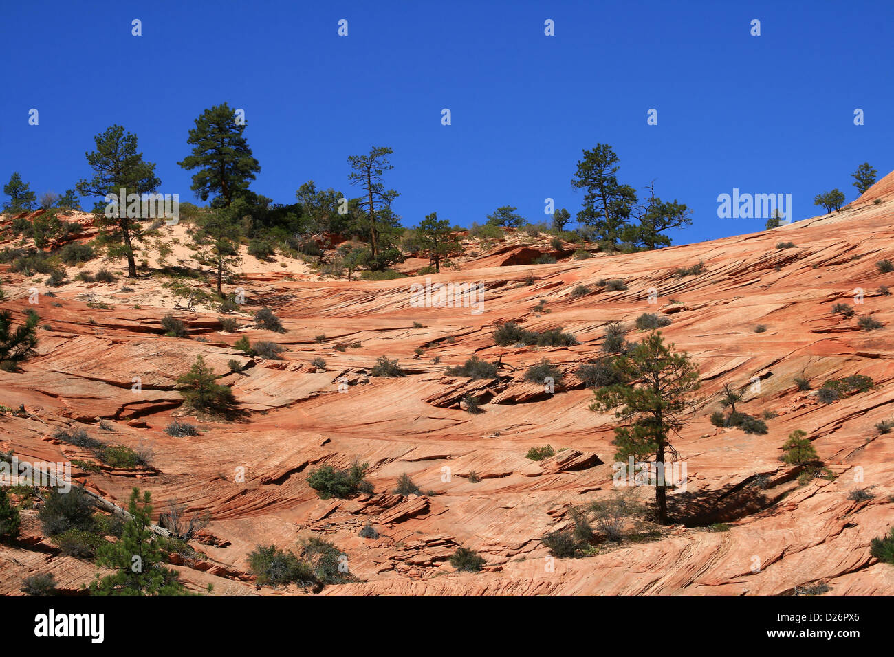 Sandstone ridge Zion National Park Stock Photo Alamy