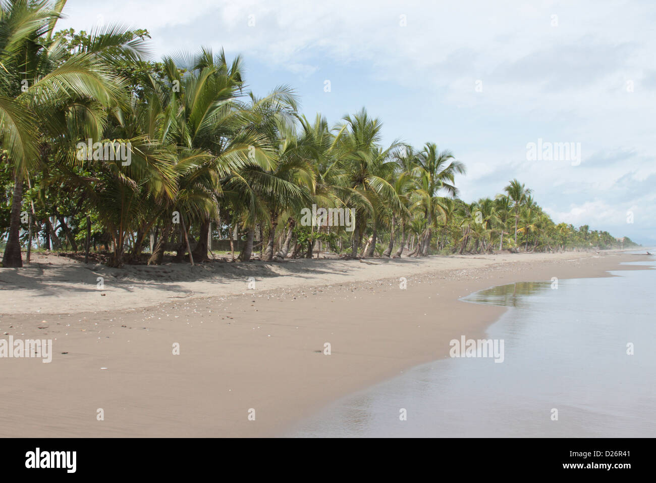 tropical beach in Panama Stock Photo - Alamy