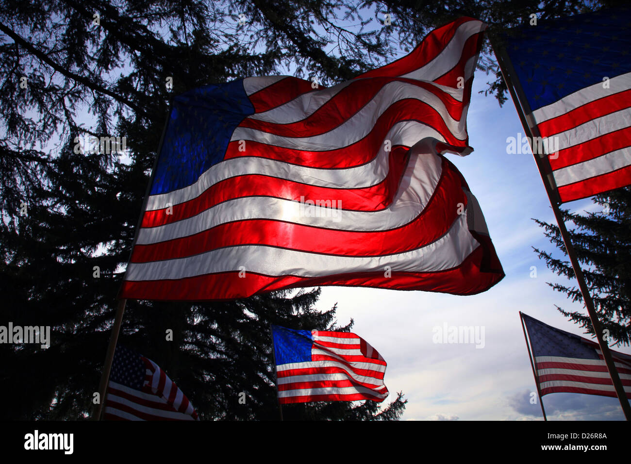 Backlit American flag flies in wind Stock Photo Alamy