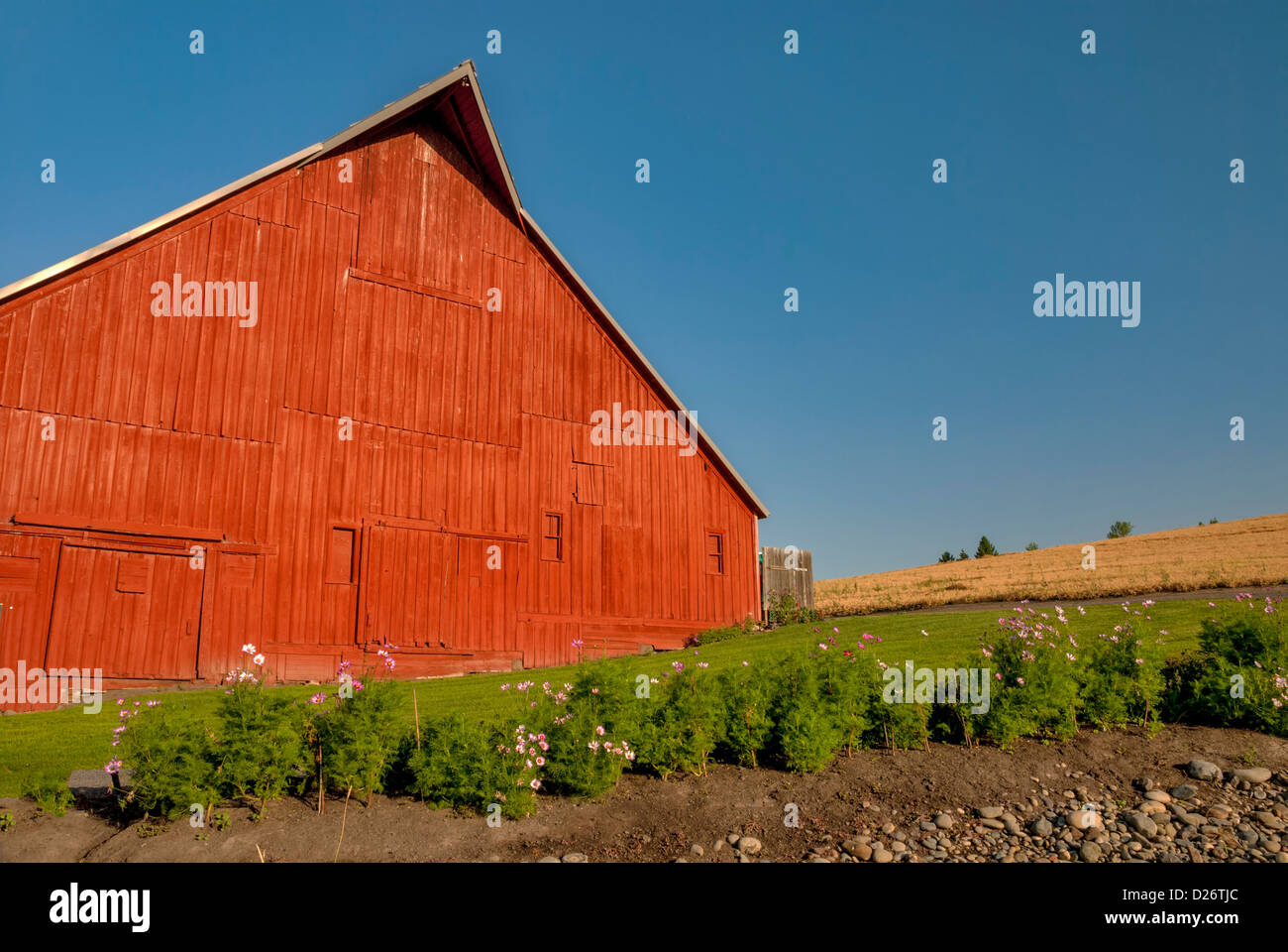 Big Red Barn With A Garden In The Country Stock Photo 53011460
