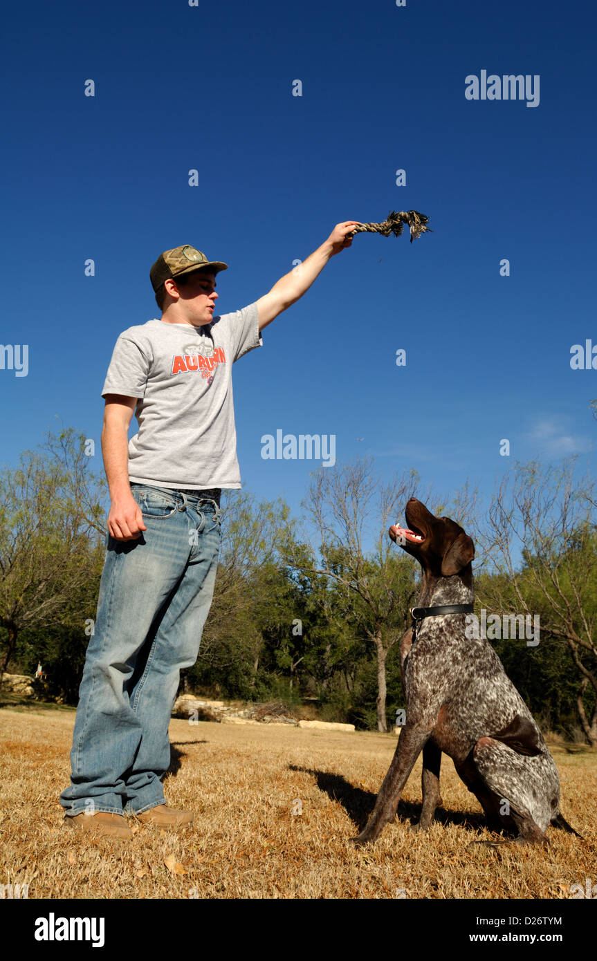 Teenage boy playing with German Shorthaired Pointer Stock Photo