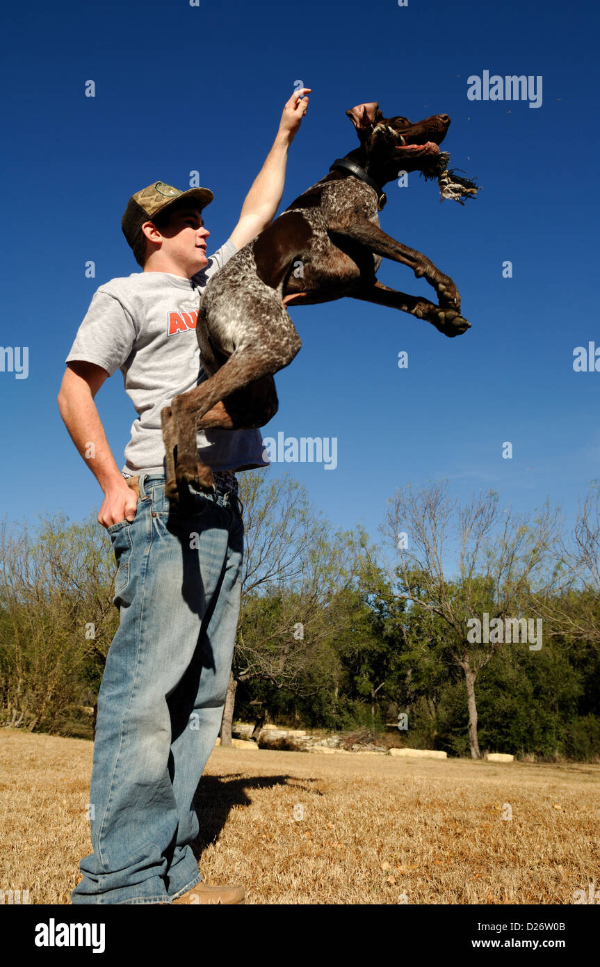 Teenage boy playing with German Shorthaired Pointer Stock Photo