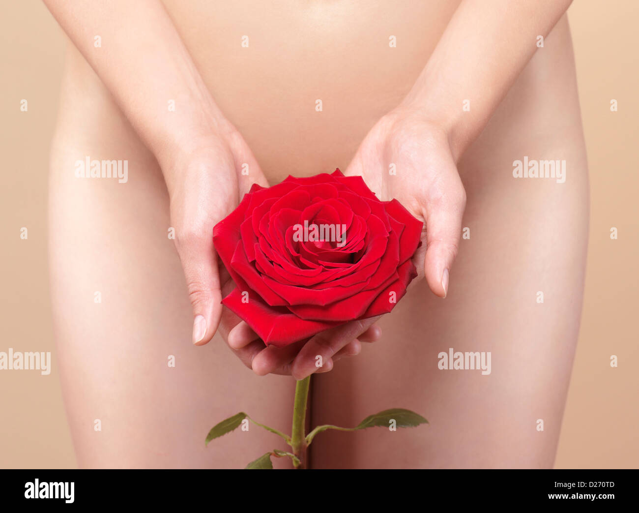 Black guy holding flower infront of naked woman art Nude Woman Holding A Red Rose In Front Of Her Naked Body Womens Health Concept Stock Photo Alamy
