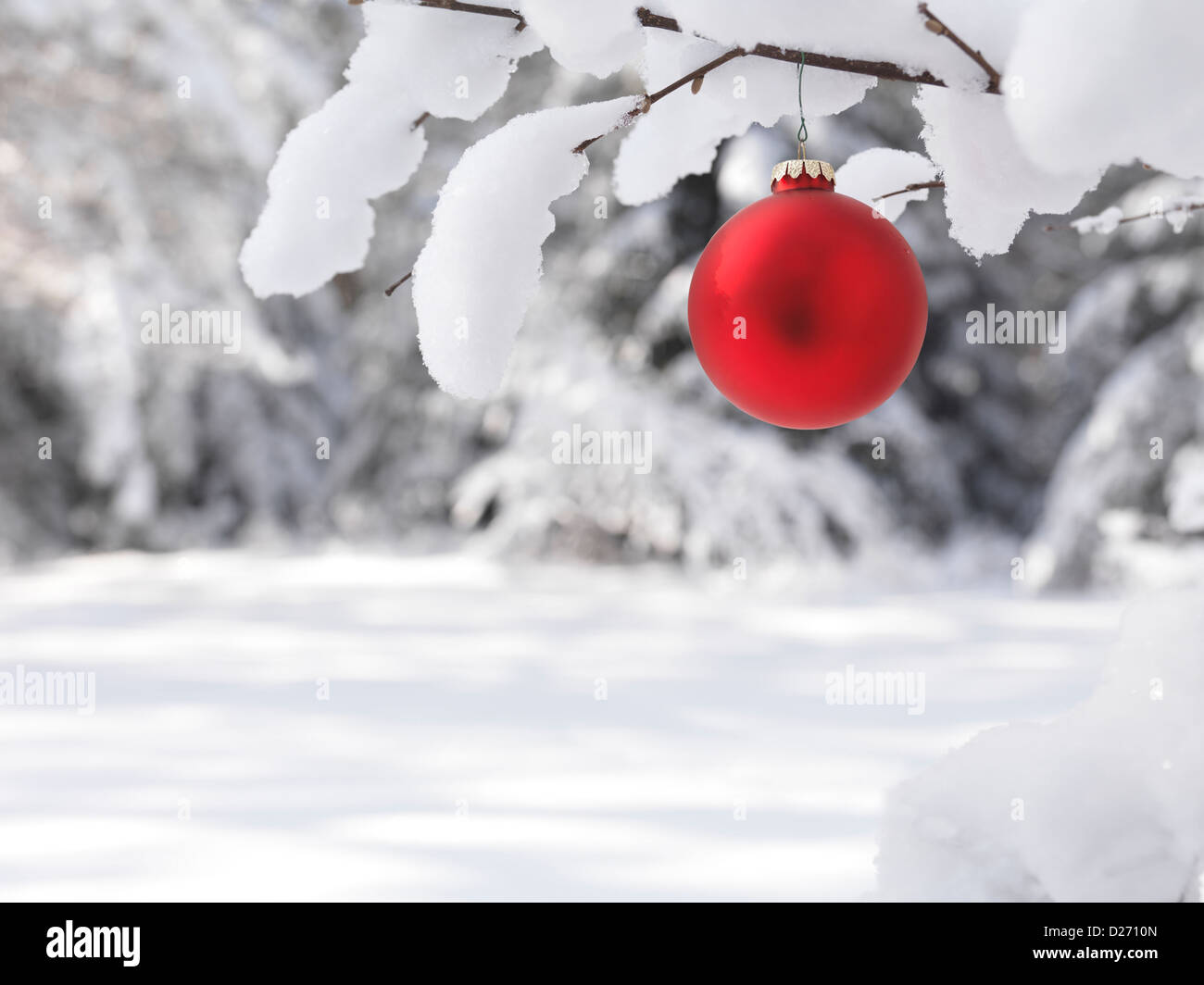 Red Christmas ornament outdoors on a snow covered tree closeup artistic holiday background winter nature scenic Stock Photo