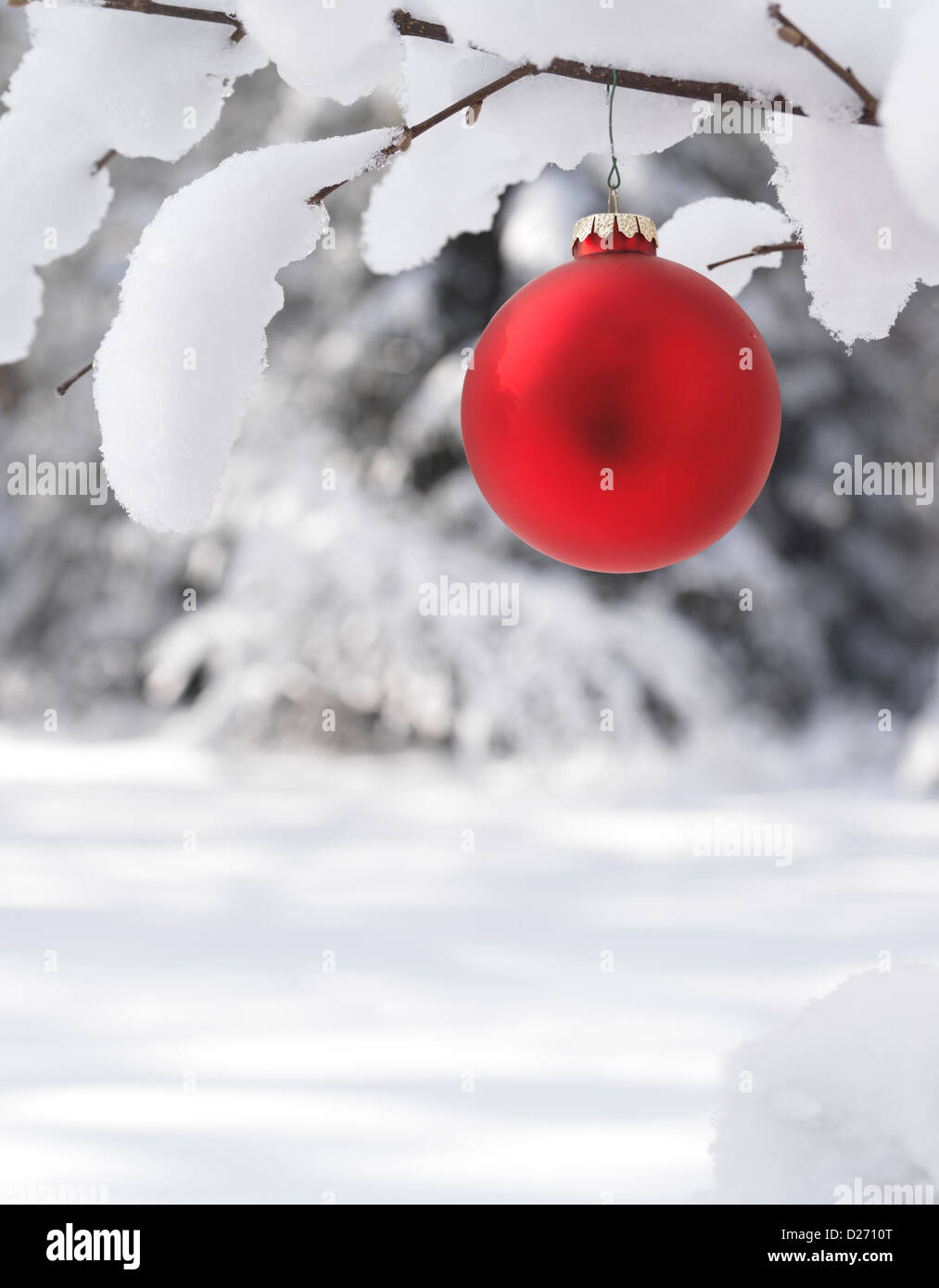 Red Christmas ornament outdoors on a snow covered tree branch winter nature scenic artistic holiday background