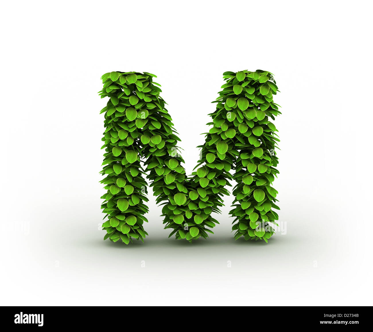 Letter M, alphabet of green leaves isolated on white background ...