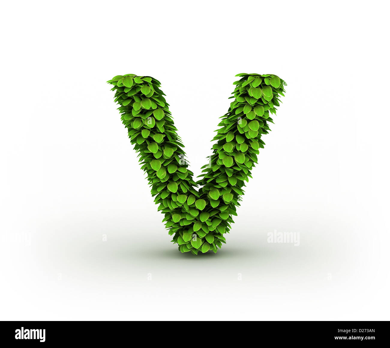 Letter V, alphabet of green leaves isolated on white background, lowercase  Stock Photo - Alamy