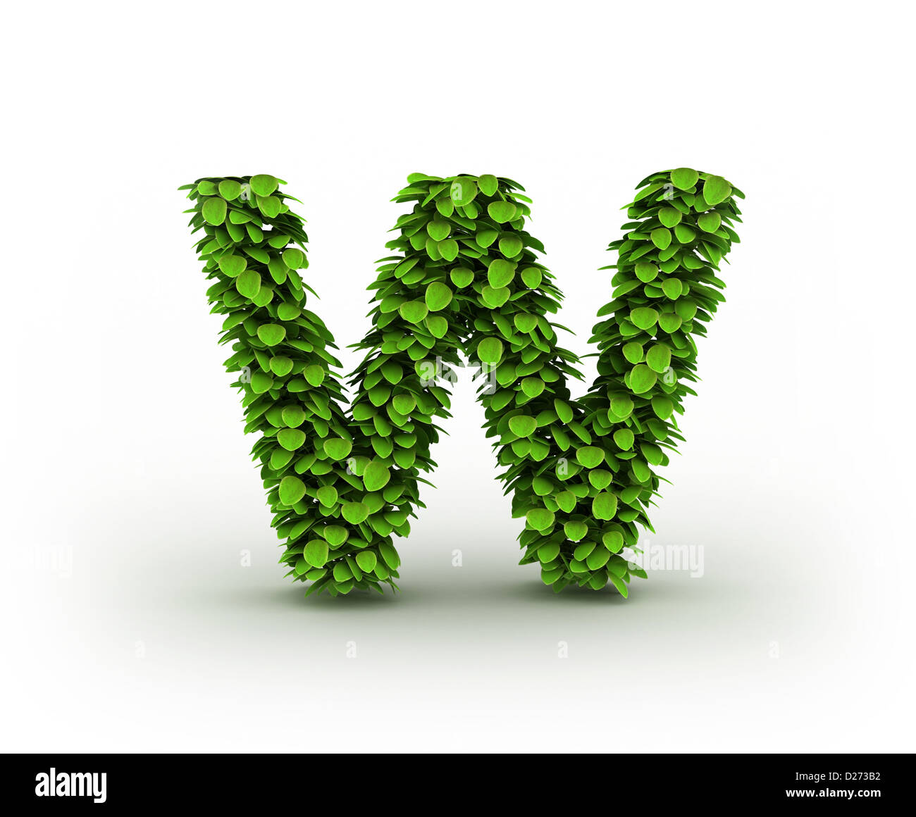 Letter W, alphabet of green leaves isolated on white background ...