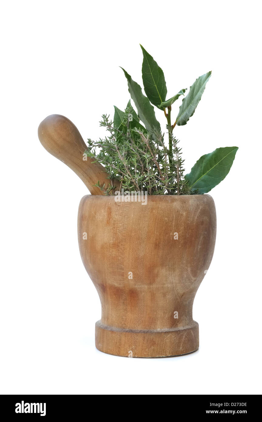 branches of bay leaves and thyme in a wooden pestle on white background
