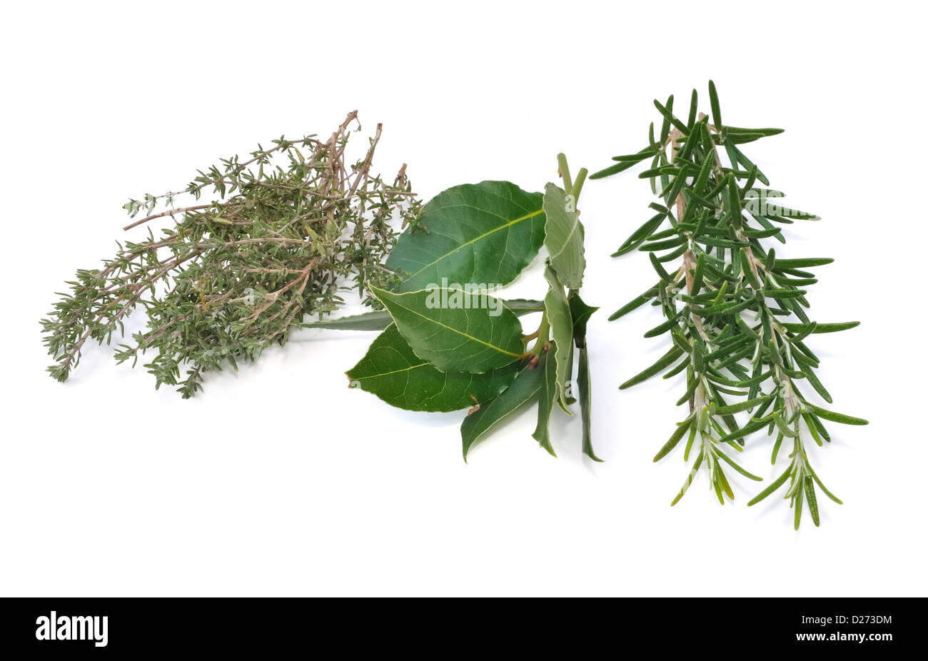 rosemary, thyme and bay leaves isolated on white background Stock Photo